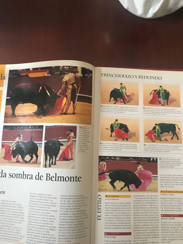 Las Figuras más polémicas del toreo actual