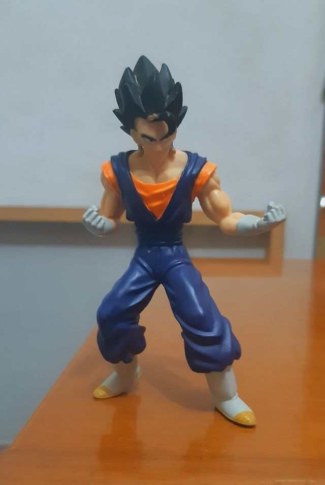 Figura Vegetto
