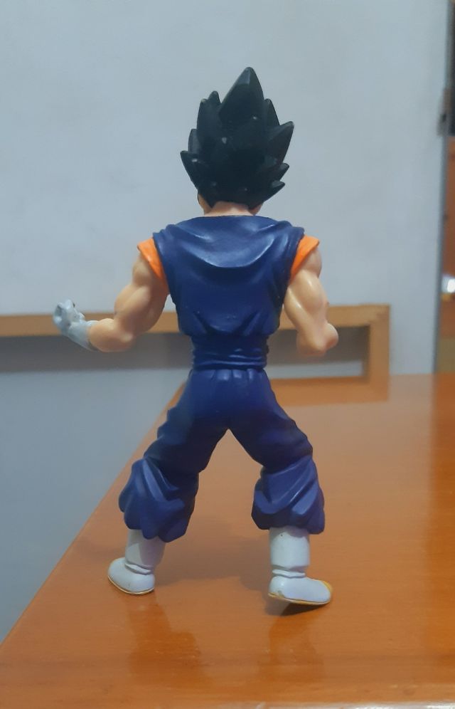 Figura Vegetto