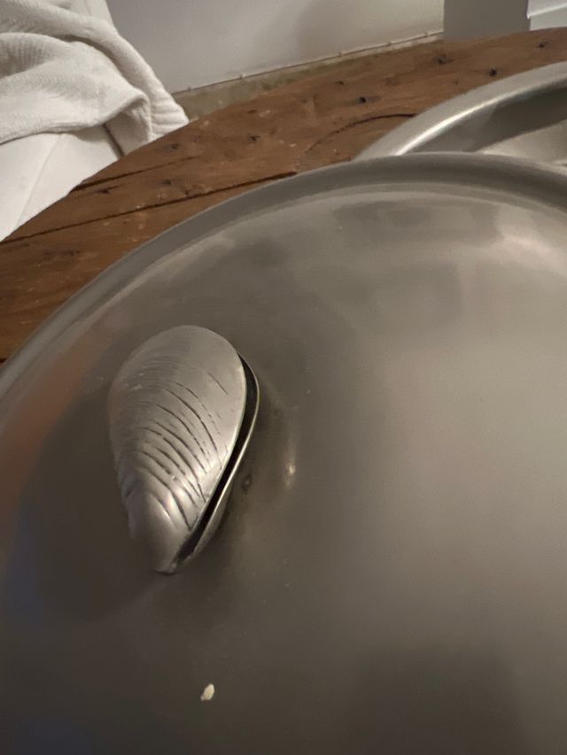 Marisquera de diseño 