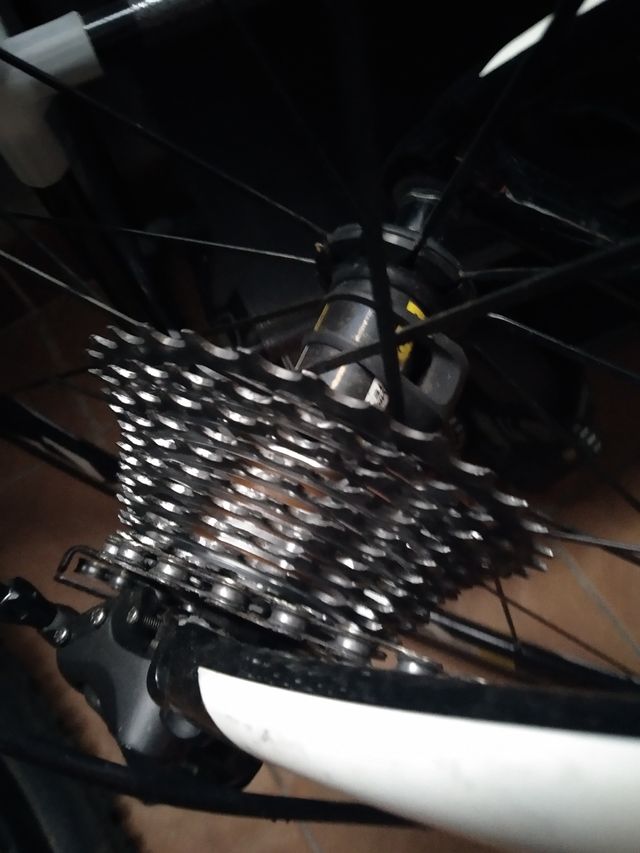 Piña 30-16 con 1 mes de uso