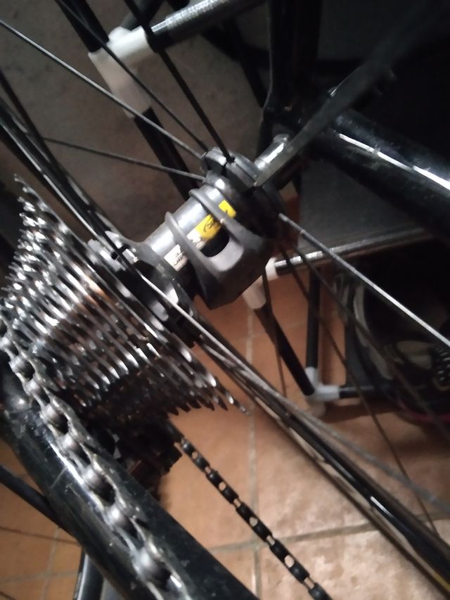 Piña 30-16 con 1 mes de uso