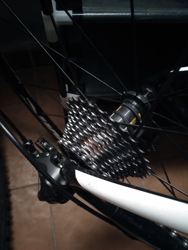 Piña 30-16 con 1 mes de uso