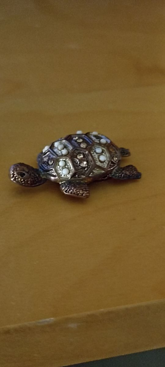 Tartarughe decorate