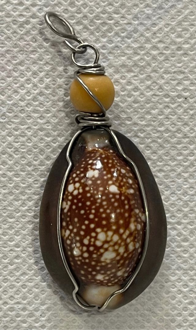 Colgante CONCHA CAURI NATURAL