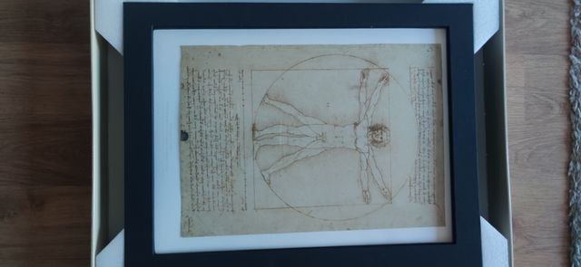 Edicion especial Planeta Leonardo 500