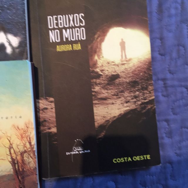 Varios Libros lectura