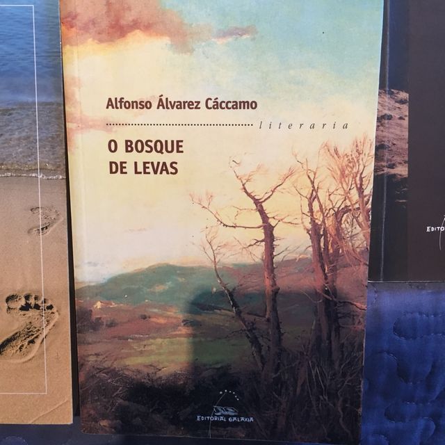 Varios Libros lectura