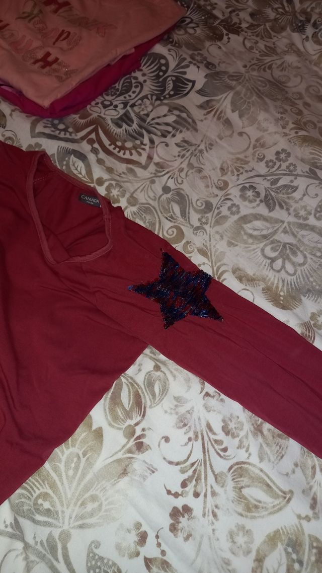 Lote camisetas m/larga Talla 14