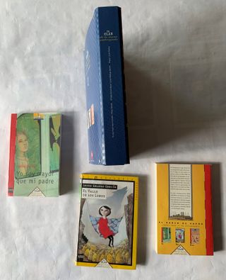 Libros Clan de la Mano Embrujada- SM Secundaria