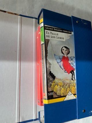 Libros Clan de la Mano Embrujada- SM Secundaria