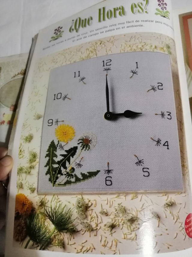 Conjunto de revistas vintage 