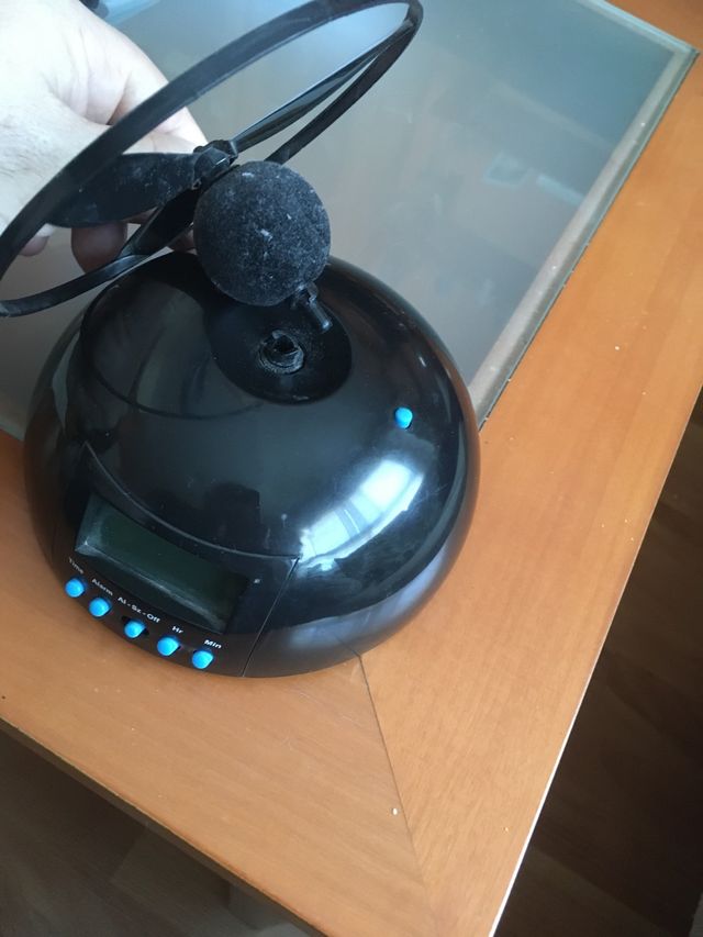 Despertador insistente