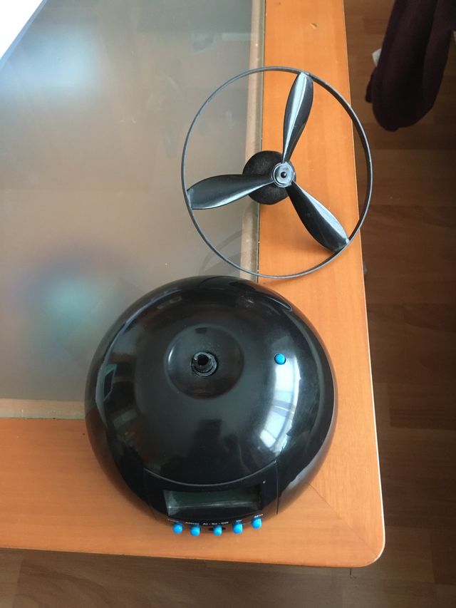 Despertador insistente