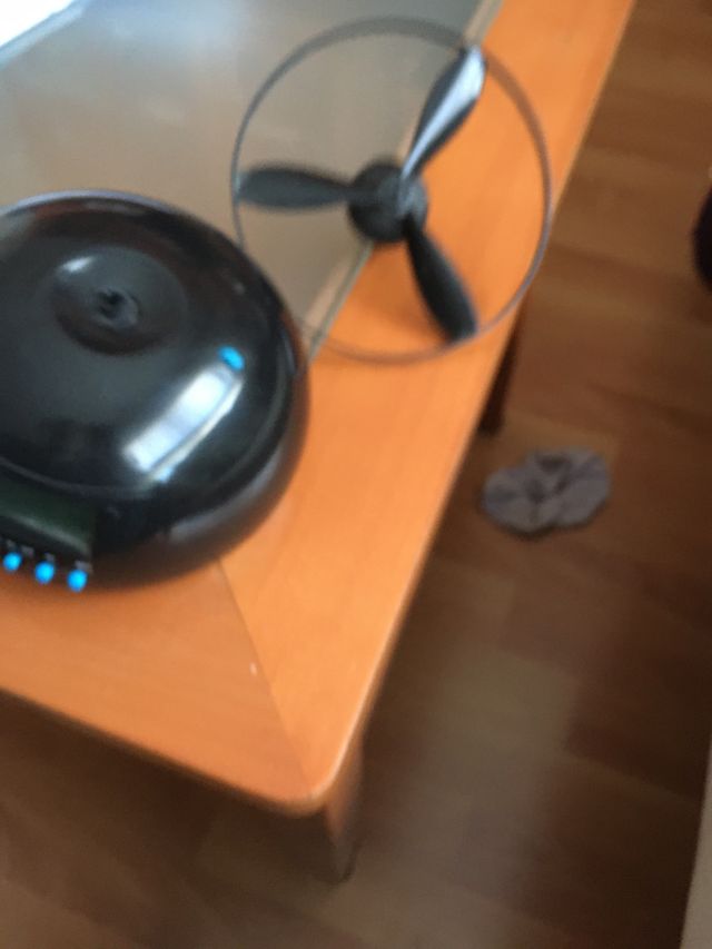 Despertador insistente