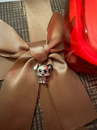 Charm 101 Dálmata san valentín