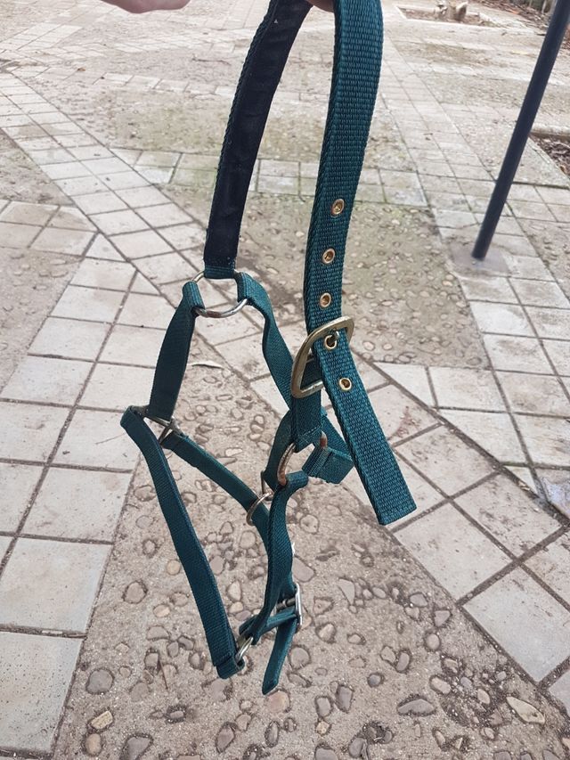 cabezada caballo solo envio