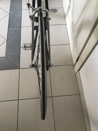 Bicicletta Single Speed