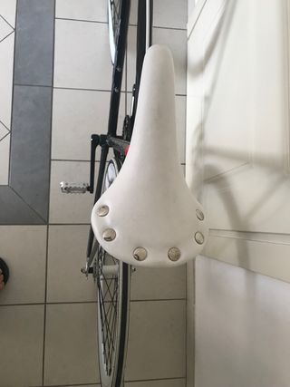 Bicicletta Single Speed