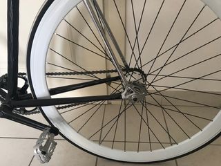 Bicicletta Single Speed