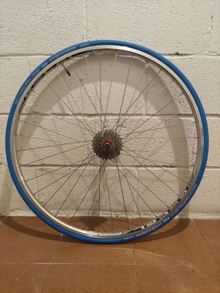 Rodillo + Rueda + Medidor de velocidad