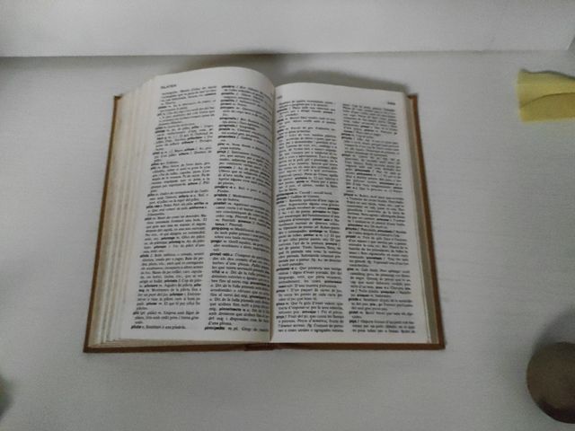 NOU DICCIONARI DE LA LLENGUA CATALANA.