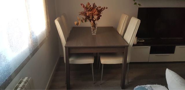 Mesa extensible + 4 sillas