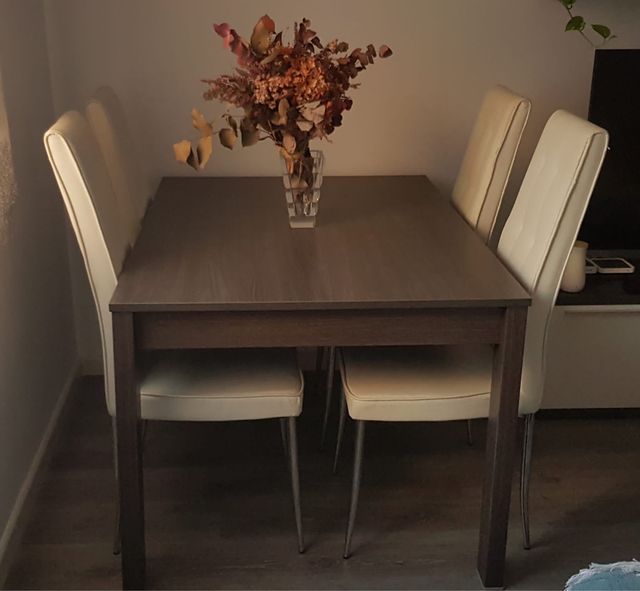 Mesa extensible + 4 sillas