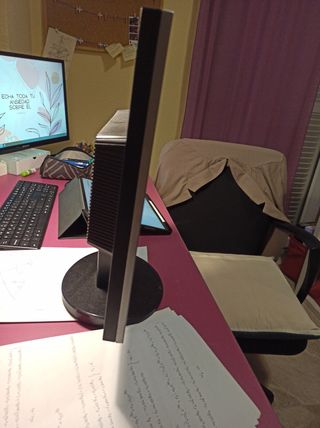 Monitor LG