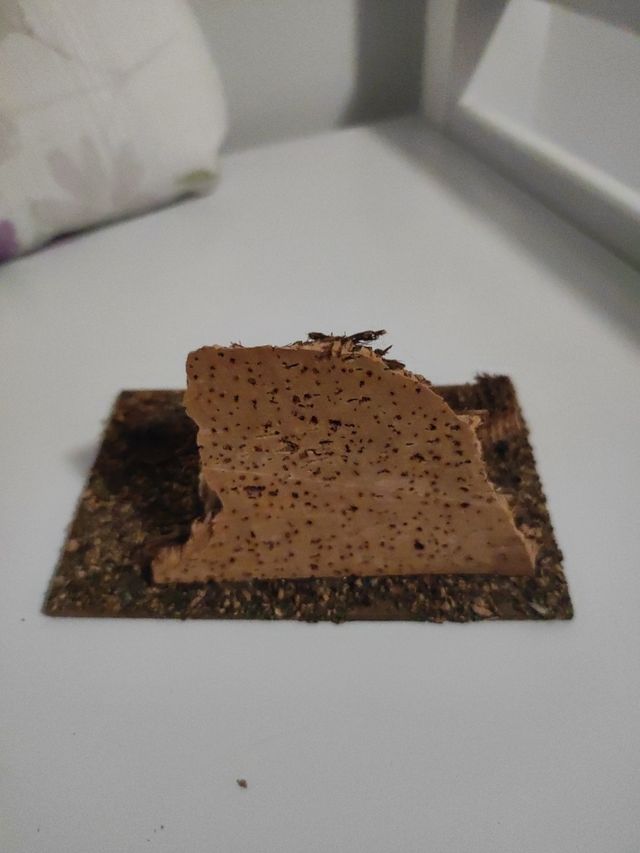 Decoración Portal de Belén 