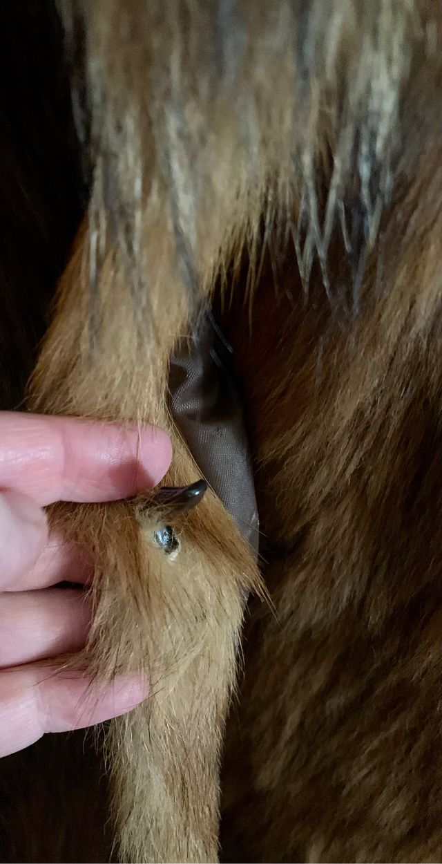 Abrigo - Chaquetón Pelo - Pieza Única