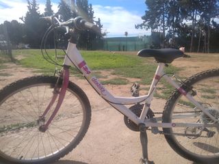 bicicleta 24 pulgadas 