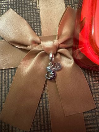 Charm Camaleón 