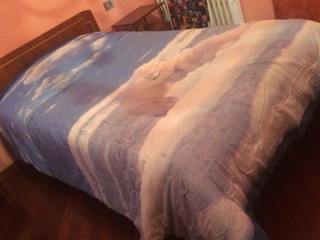 Completo letto da 1 piazza e mezza Bassetti