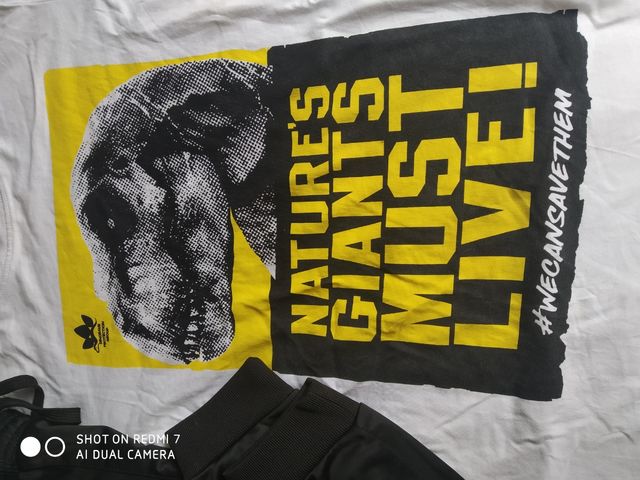 pack camiseta Jurassic world + pantalón chándal