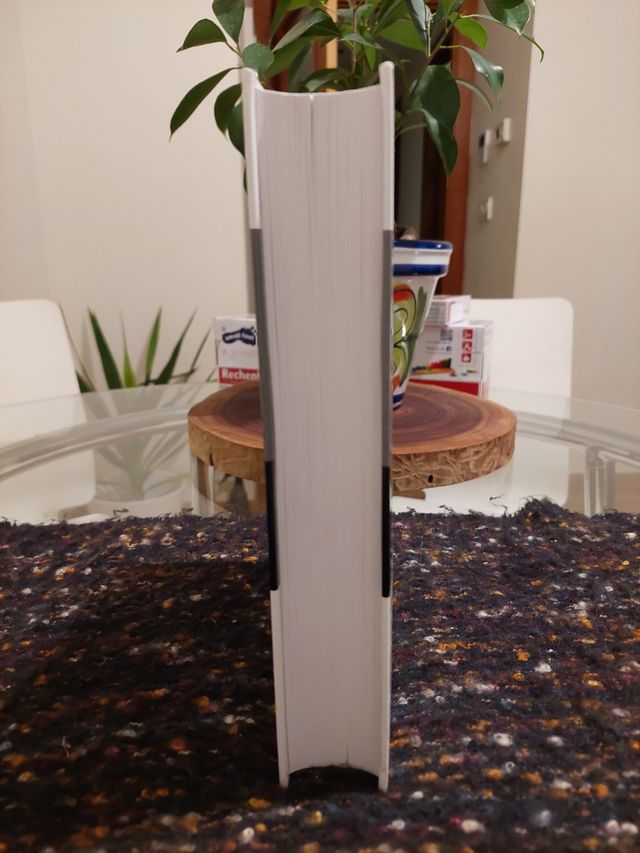 DUDAS Y DIFICULTADES DE LA LENGUA ESPAÑOLA LAROUSS