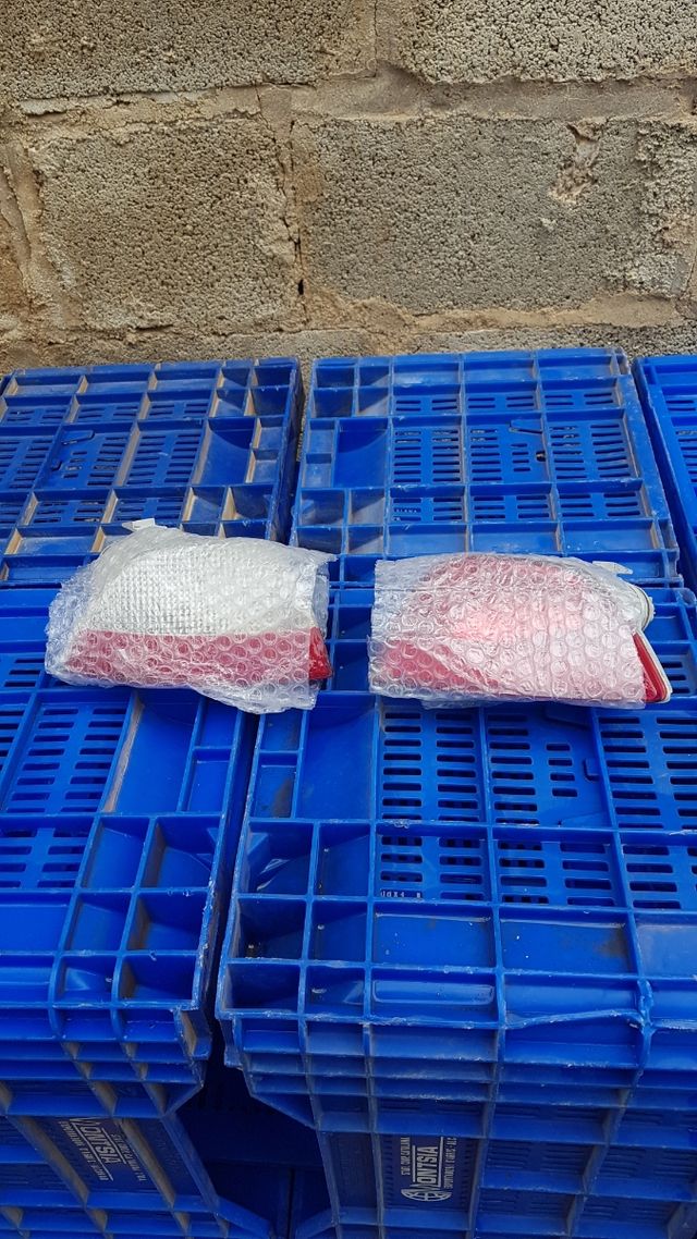 Pilotos Traseros antiniebla y marcha atras Ford