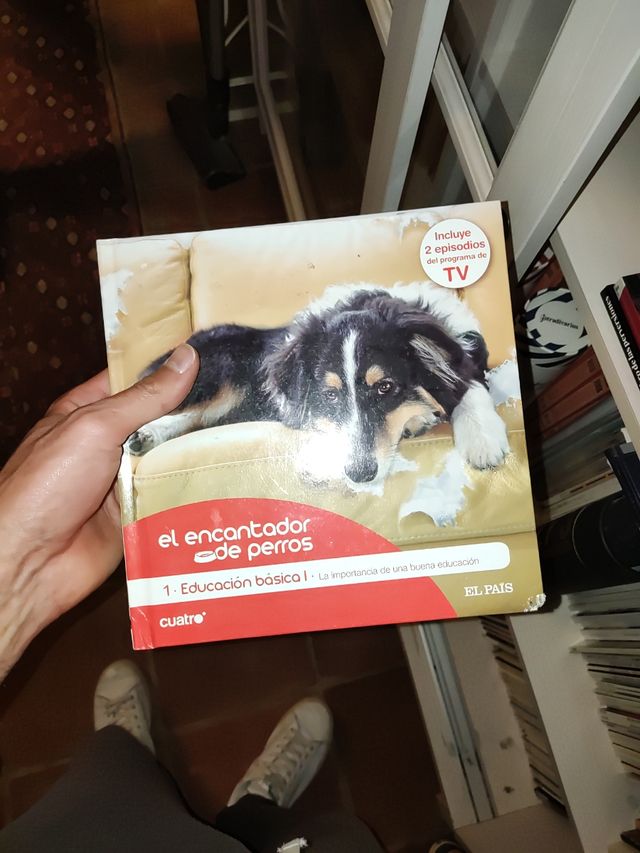 el encantador de perros colección completa