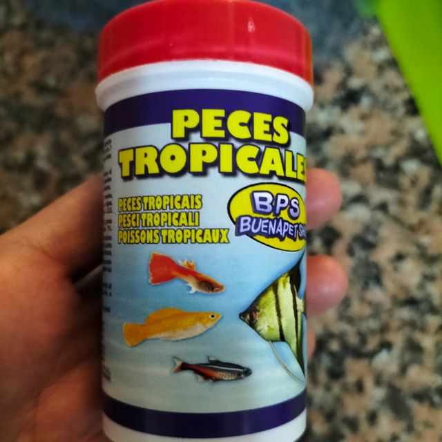 Super lote de pecera de plástico y bote de comida