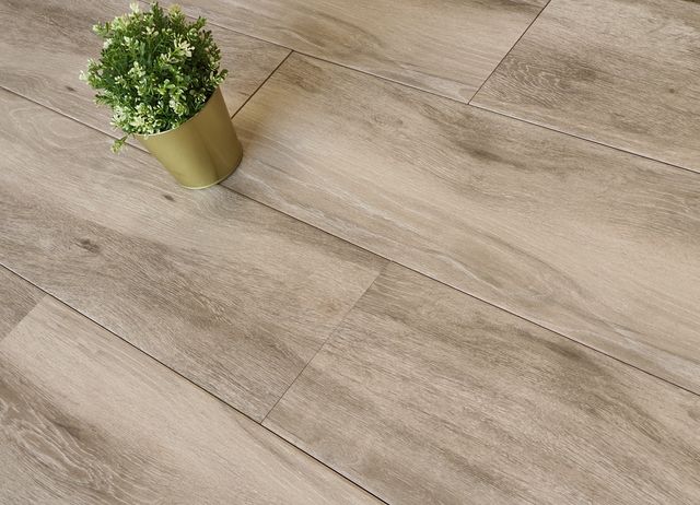 Al - ASTELLA TAUPE PORC. 23.3x120