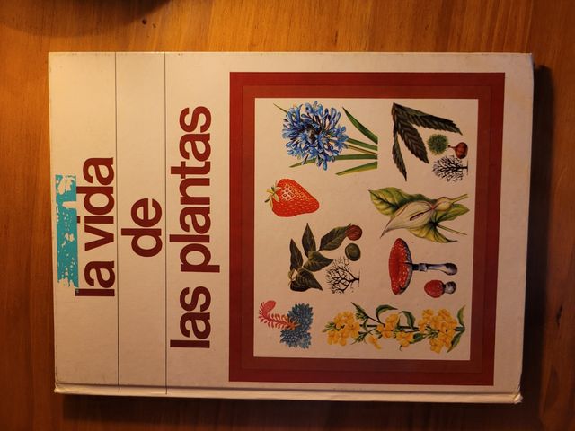 La vida de las plantas 