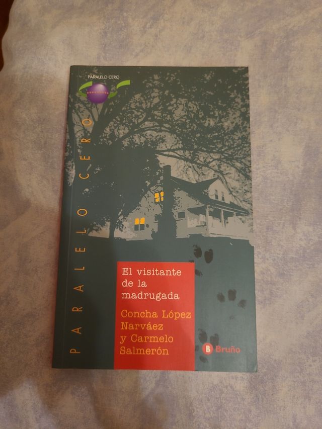 El visitante de la madrugada