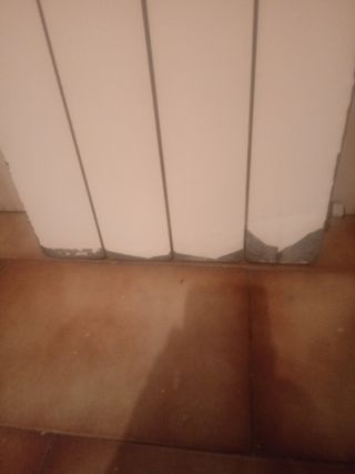 radiador cuatro elementos