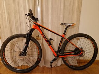 Bicicleta BTT Trenton 2020 carbono talla S