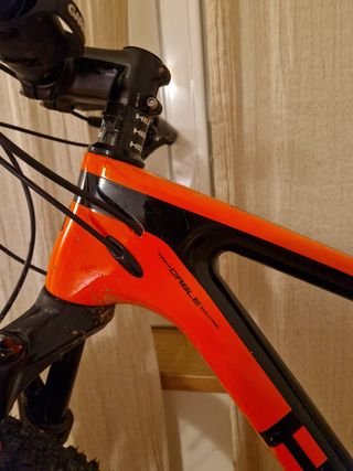 Bicicleta BTT Trenton 2020 carbono talla S