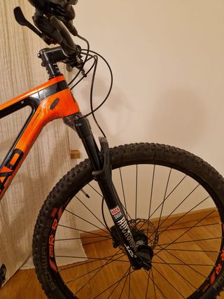Bicicleta BTT Trenton 2020 carbono talla S