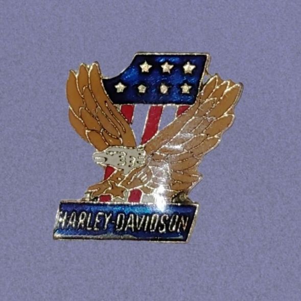 Lote 4 pin moteros Harley Indian Marcus Daily USA