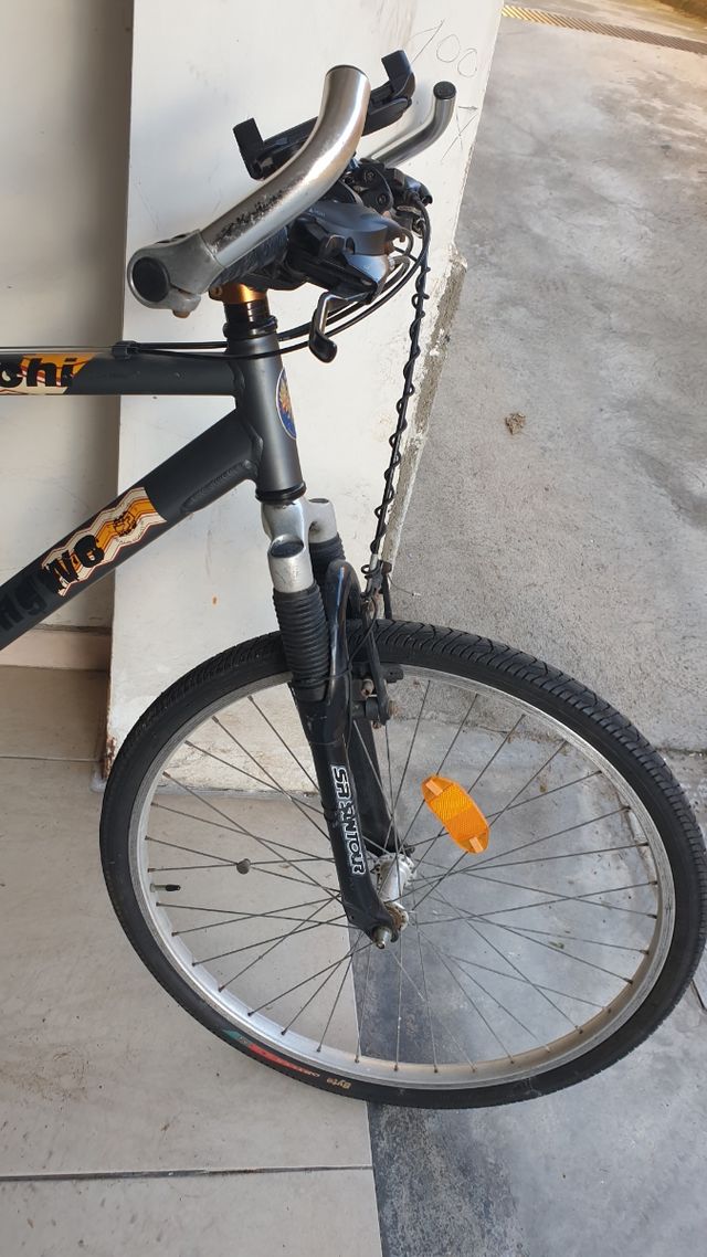 bicicletta mountain Bike, Bianchi