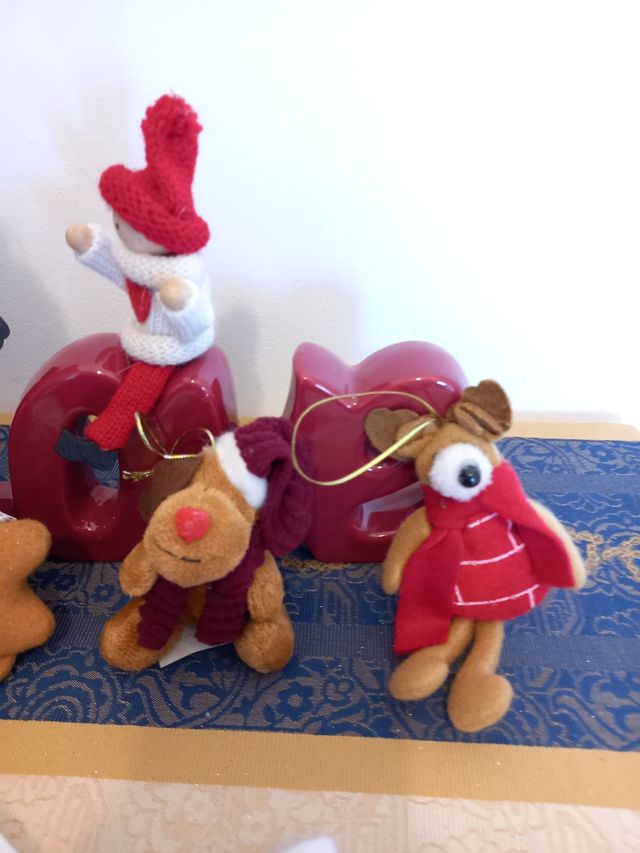 DECORAZIONI NATALIZIE