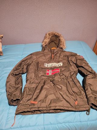 geographical Norway